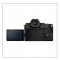 Panasonic Lumix S5 II Mirrorless Camera with 20-60mm Kit Lens